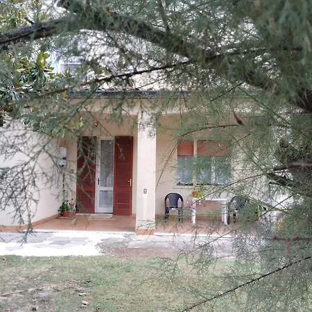 & Garden 40
