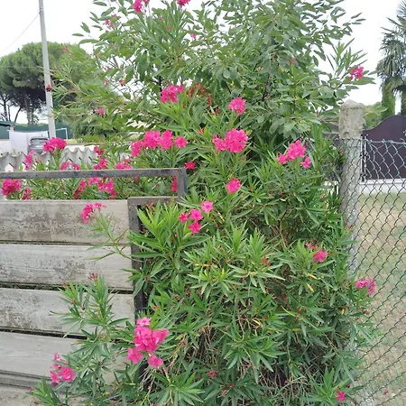 & Garden 40 Отель типа 