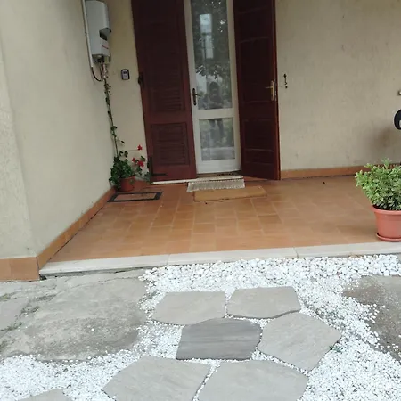 & Garden 40
